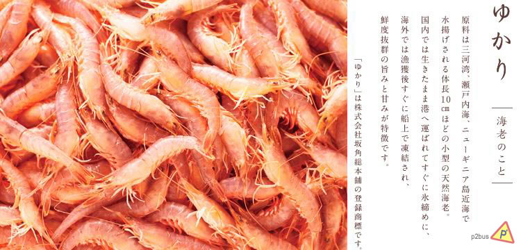 /userfiles/images/p113/TT_01_8.jpg
