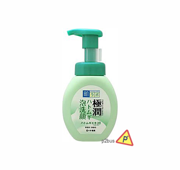 Hada Labo Gokujyun Acne Foam Wash