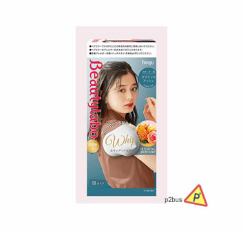 Beautylabo Ice Cream Foam Hair Color (Classic Ash)