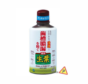 Kobayashi Shoyo Special Care Mouth Wash (Swollen Gums)