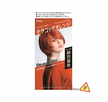 Hoyu Beauteen Make Up Hair Color (Terracotta Orange)