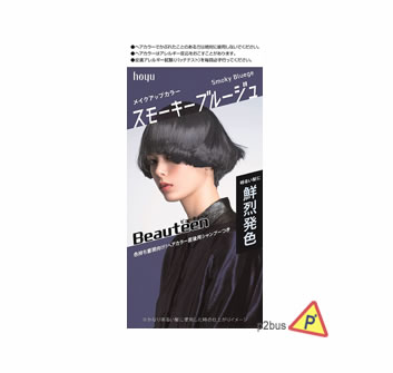 Hoyu Beauteen Make Up Hair Color (Smoky Blue)