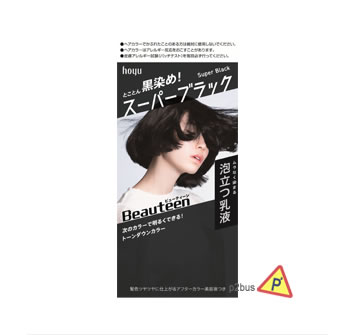 Hoyu Beauteen Make Up Hair Color (Super Black)