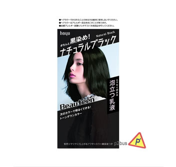 Hoyu Beauteen Make Up Hair Color (Natural Black)