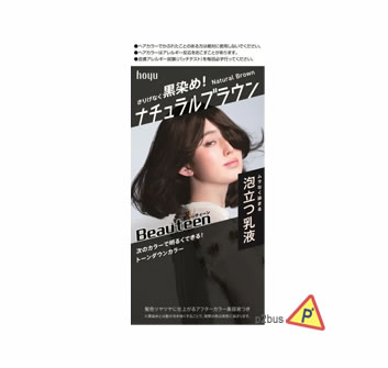 Hoyu Beauteen Make Up Hair Color (Natural Brown)