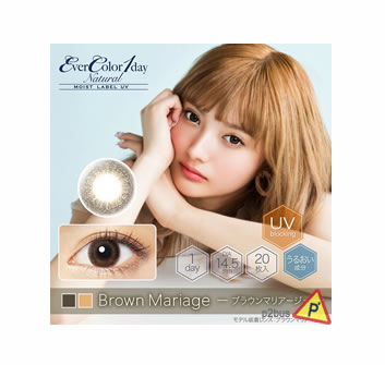 EverColor Moist Label 1 Day Contact Lenses (Brown Mariage)