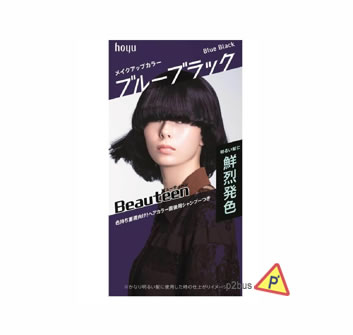 Hoyu Beauteen Make Up Hair Color (Blue Black)