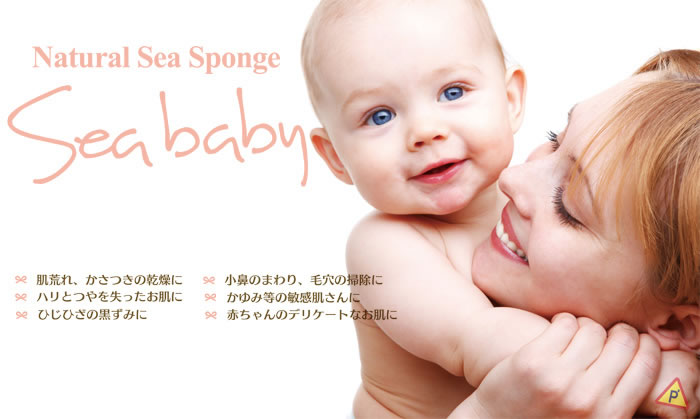 /userfiles/images/p83/SB_01_1.jpg
