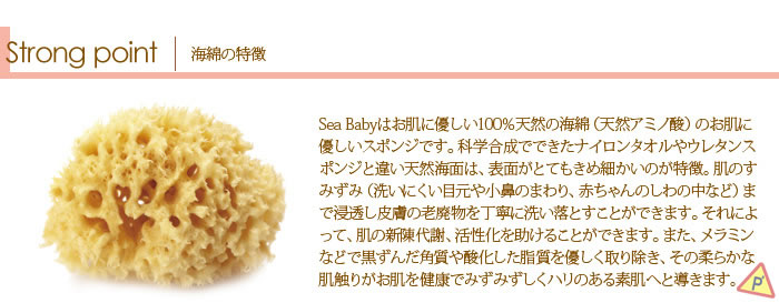 /userfiles/images/p83/SB_01_2.jpg